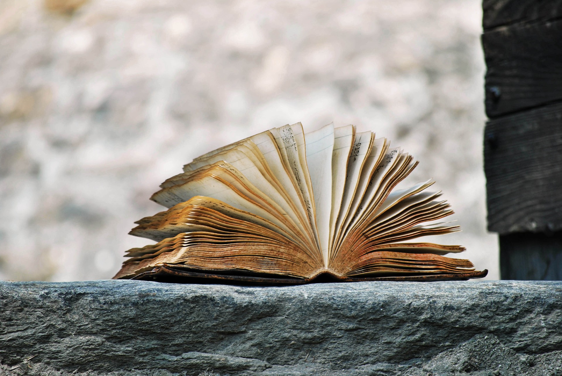 book-1.jpg